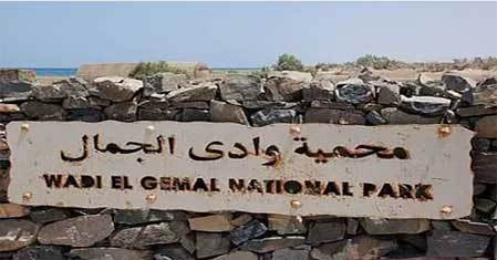 Egypt National Park Wadi El Gemal