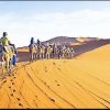 Desert Safari tour guide